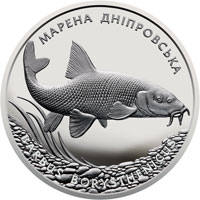 Марена дніпровська  (c) — реверс