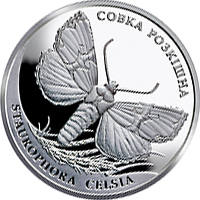 Совка розкішна (c) — реверс