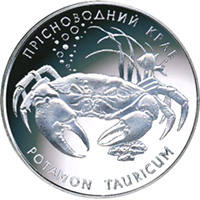 Краб прісноводний  (н) — реверс