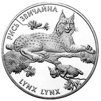 Рись звичайна  (н) — реверс