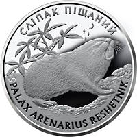 Сліпак піщаний  (c) — реверс