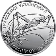 Пилкохвіст український  (c) — реверс