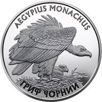 Гриф чорний  (c) — реверс