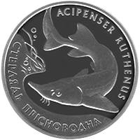 Стерлядь прісноводна  (c) — реверс