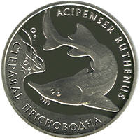 Стерлядь прісноводна  (н) — реверс