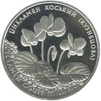 Цикламен коський (Кузнецова)  (c) — реверс