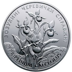 Зозулині черевички справжні  (c) — реверс